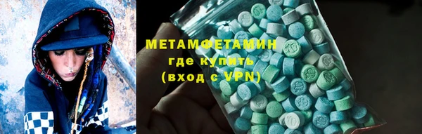 прущие грибы Каменногорск