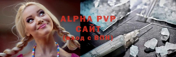 прущие грибы Каменногорск