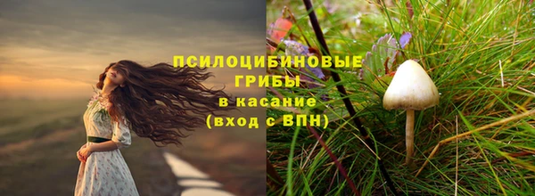 меф Инсар