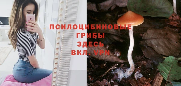 mdpv Каменка