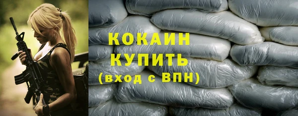 шишки Осинники