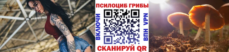 Галлюциногенные грибы ЛСД  купить наркоту  Ливны 