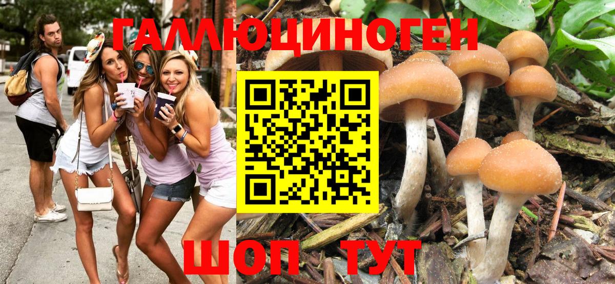Галлюциногенные грибы GOLDEN TEACHER Ливны